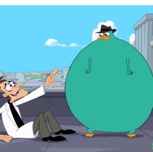 Meet your Posher, Shylo